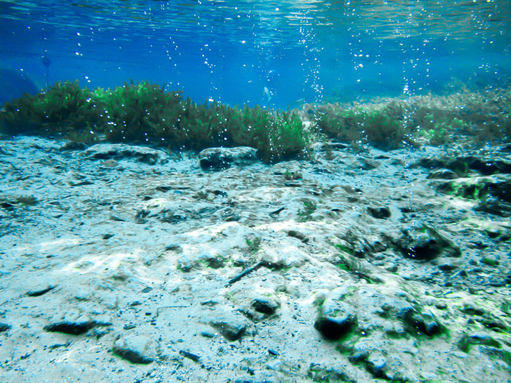 Crystal clear water with divers' bubbles coming up from the rock