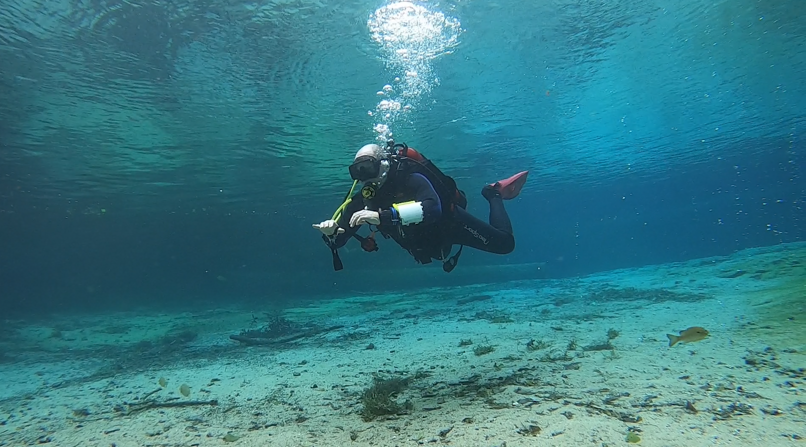Diver with good trim swimming up the spring run